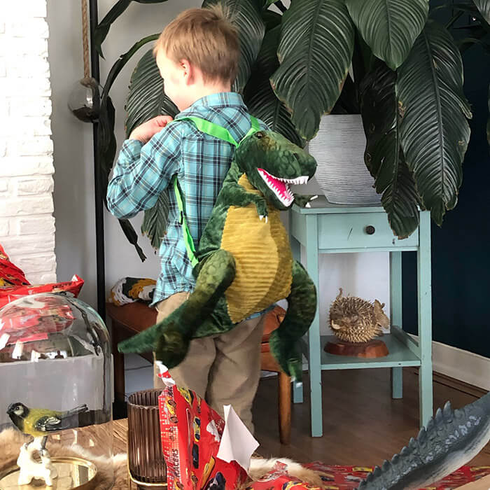 3D Dinosaur Backpack for Kids & Adults