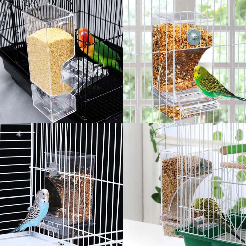 Automatic No-Spill Transparent Bird Feeder for Small and Medium Parakeets