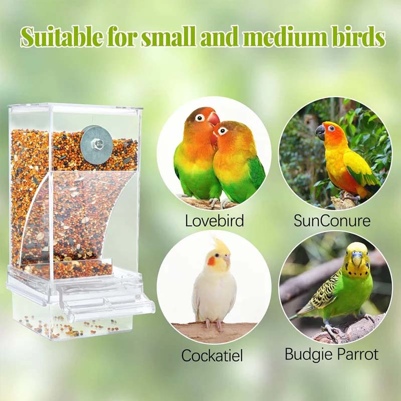 Automatic No-Spill Transparent Bird Feeder for Small and Medium Parakeets