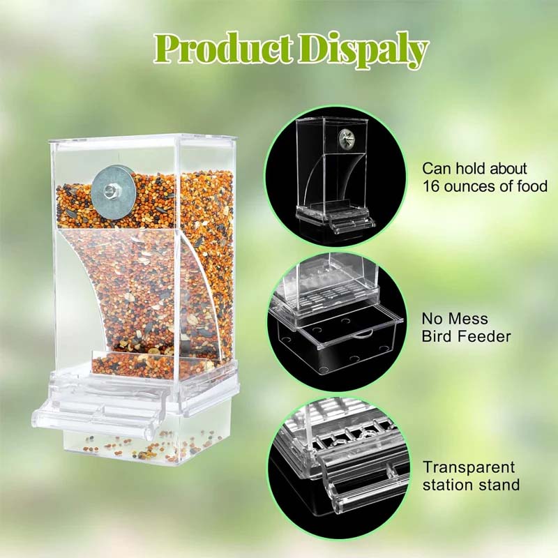 Automatic No-Spill Transparent Bird Feeder for Small and Medium Parakeets