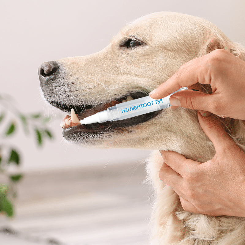 Pet Dog Cat Whitening Cleaning Natural Plant Toothbrush Pen