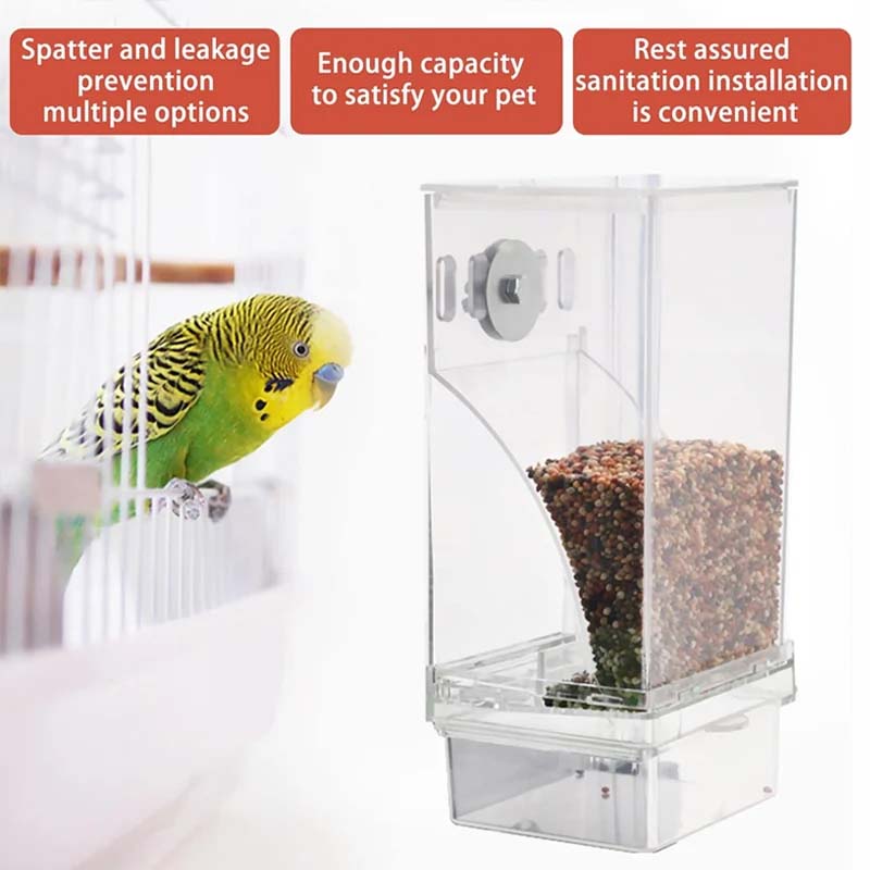 Automatic No-Spill Transparent Bird Feeder for Small and Medium Parakeets