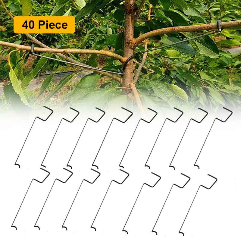 Fruit Tree Branch Spreader(40pcs)