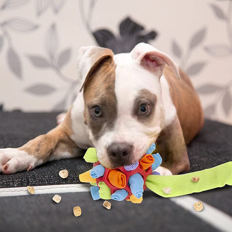 Dog Chew Toy Fun Snuffle Ball