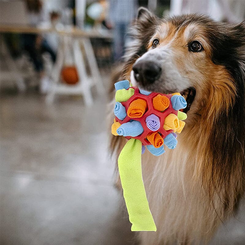 Dog Chew Toy Fun Snuffle Ball