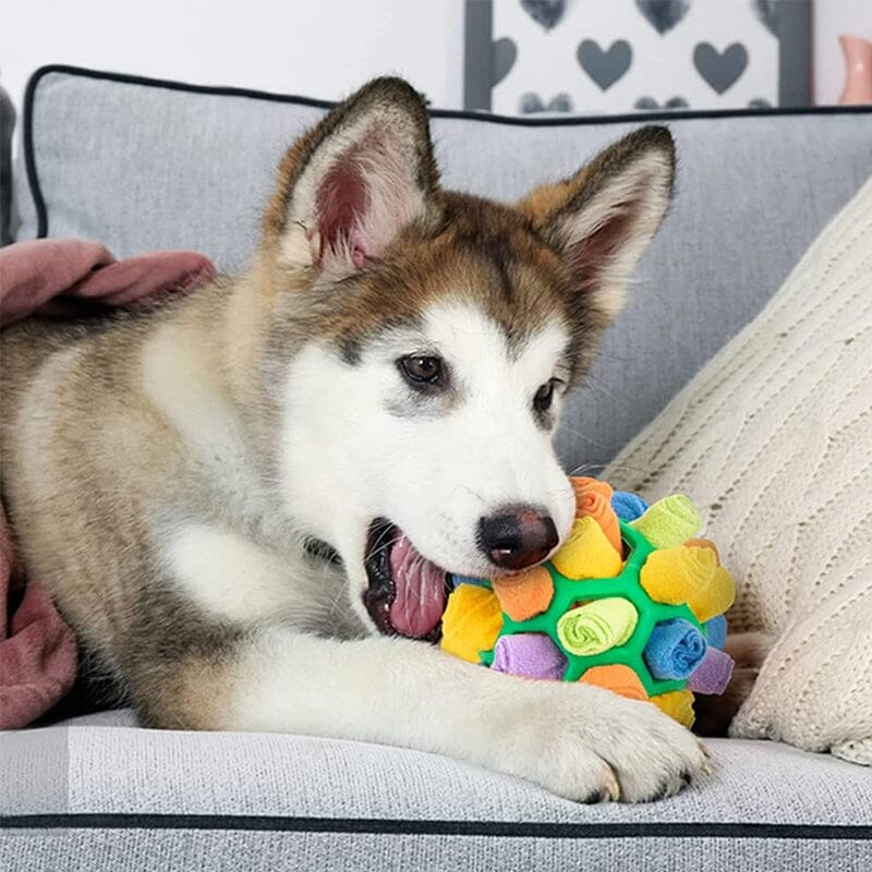 Dog Chew Toy Fun Snuffle Ball