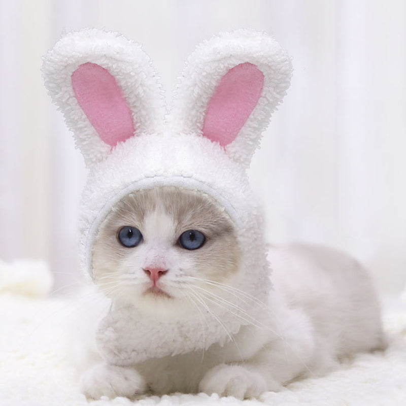 Rabbit-shaped Headgear for Pets