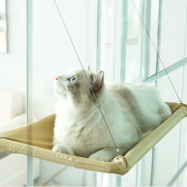 🐱The Kitty Hammock Indoor Cat Hammock