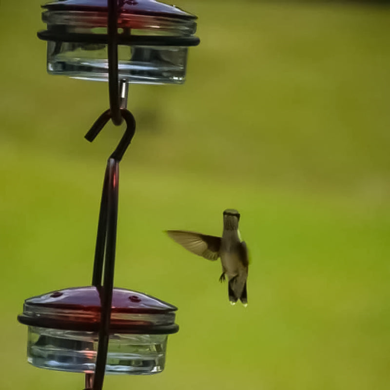 Hummble Slim Hummingbird Feeder