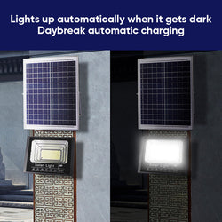 Ultra Bright Solar Outdoor Yard Light