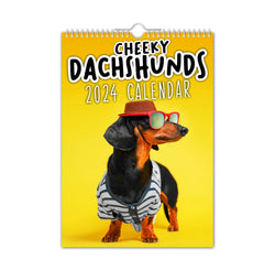 Cheeky Dachshunds - 2024 Wall Calendar