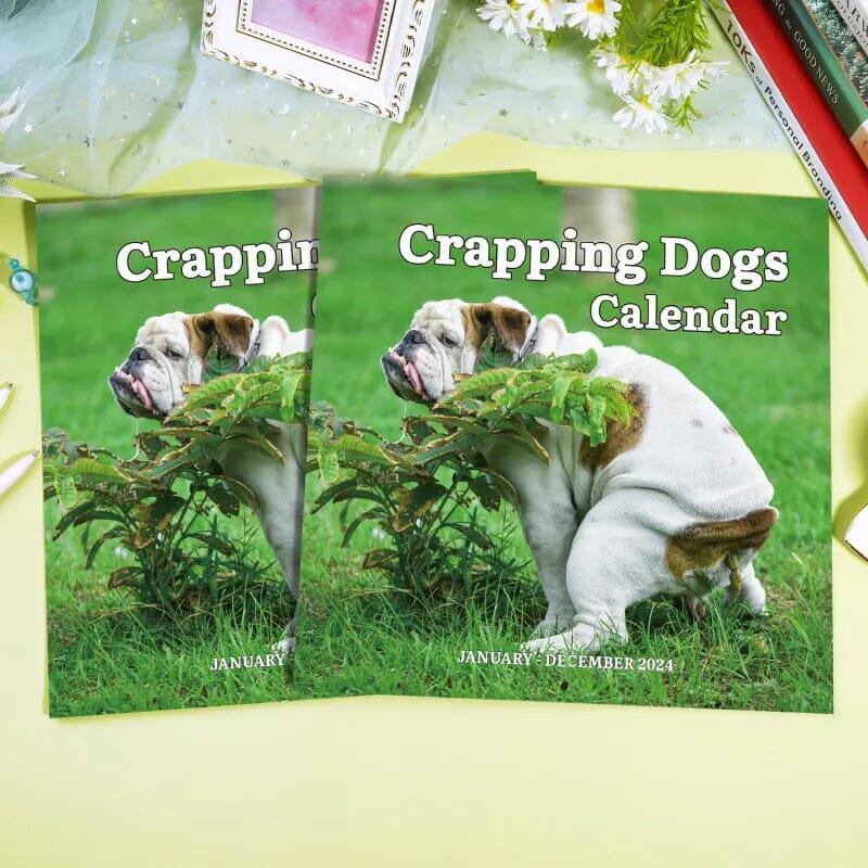 2024 The Funniest Calendar Of This Century | The "Artistic Expression" Of Furry Friends