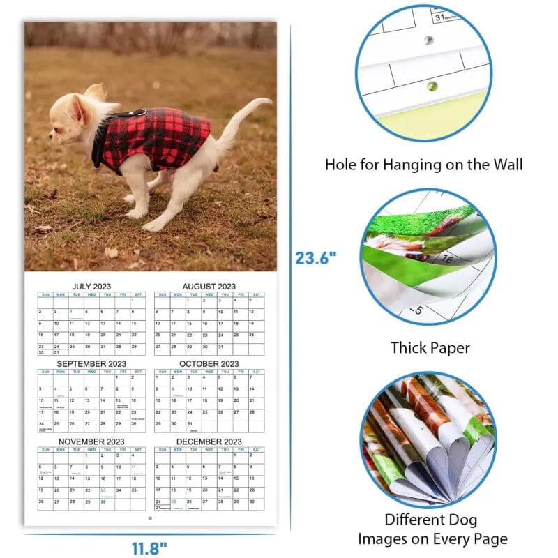 2024 The Funniest Calendar Of This Century | The "Artistic Expression" Of Furry Friends