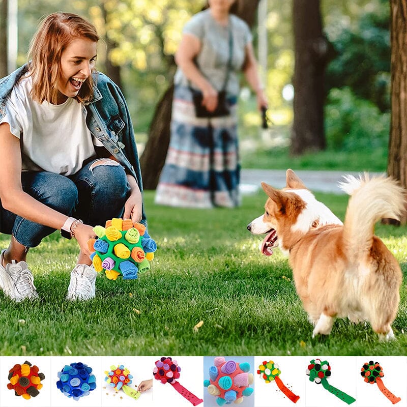 Dog Chew Toy Fun Snuffle Ball