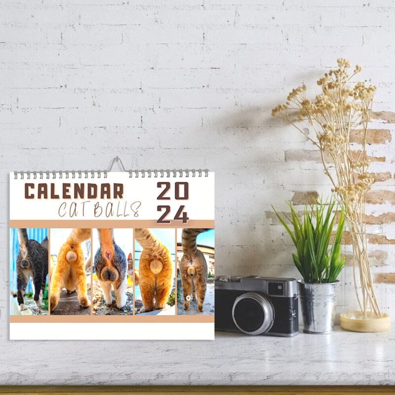 😆Funniest Calendar 2024-Cat Balls |"Artistic Expression" of Furry Friends🐱