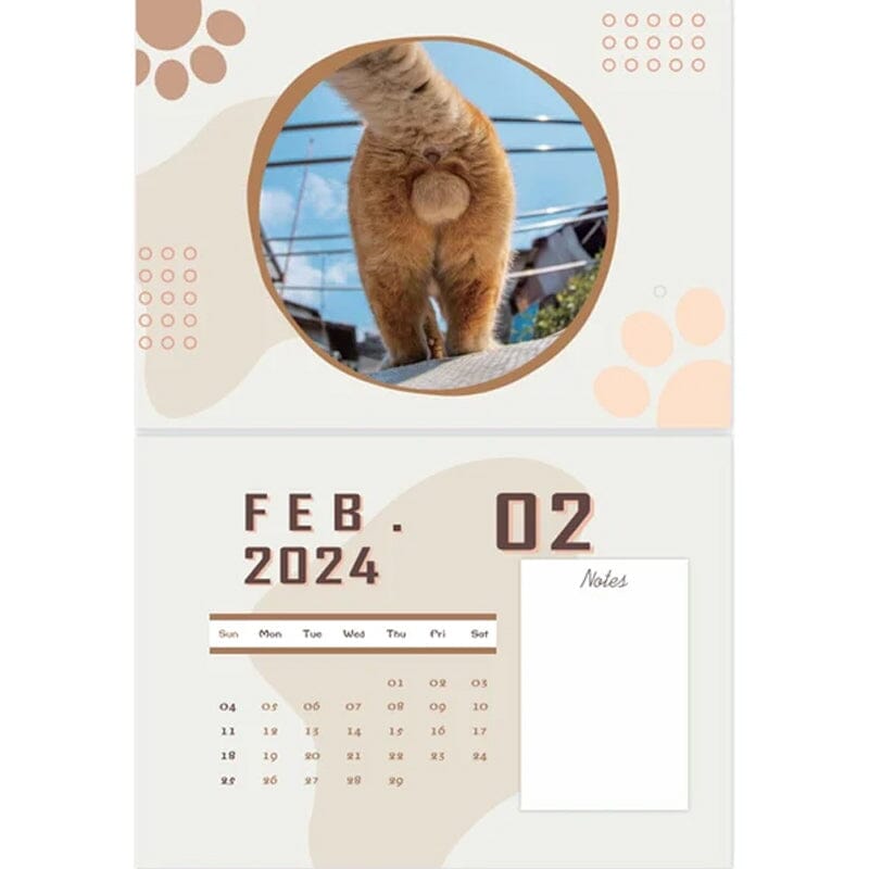 😆Funniest Calendar 2024-Cat Balls |"Artistic Expression" of Furry Friends🐱