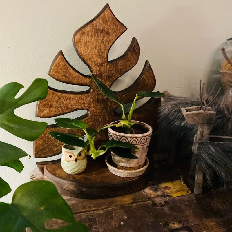 Wooden Monstera Wall Shelf