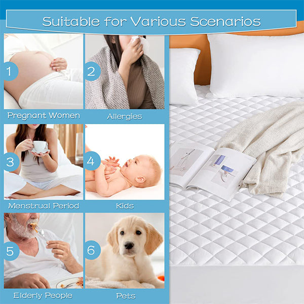 Waterproof Mattress Protector