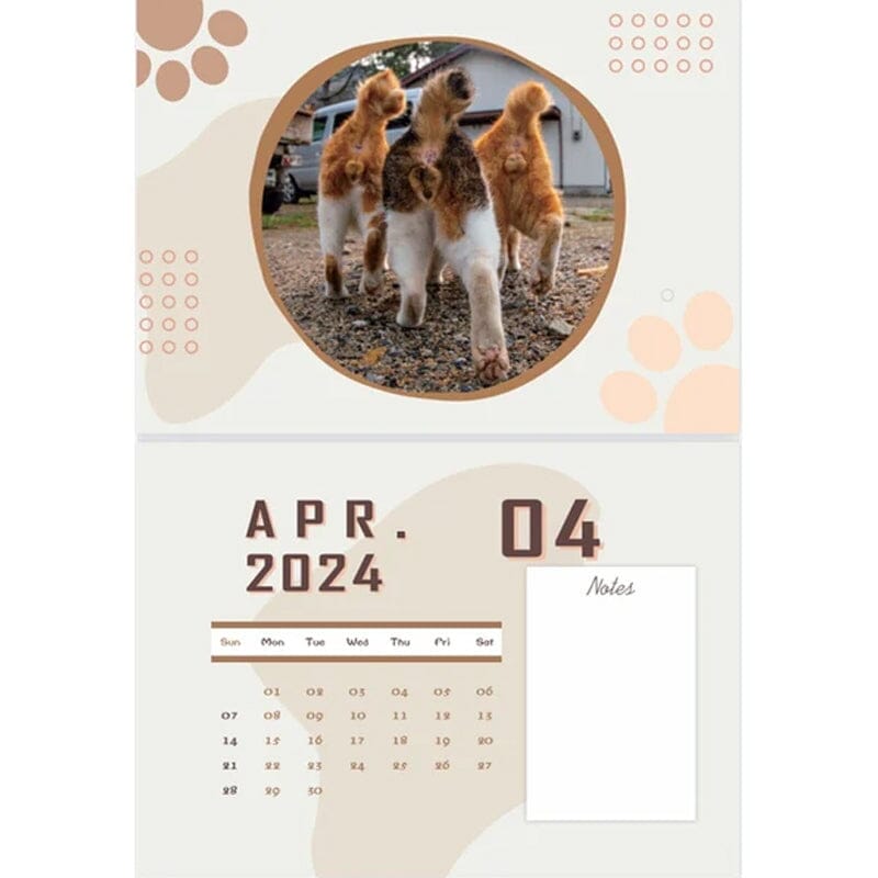 😆Funniest Calendar 2024-Cat Balls |"Artistic Expression" of Furry Friends🐱