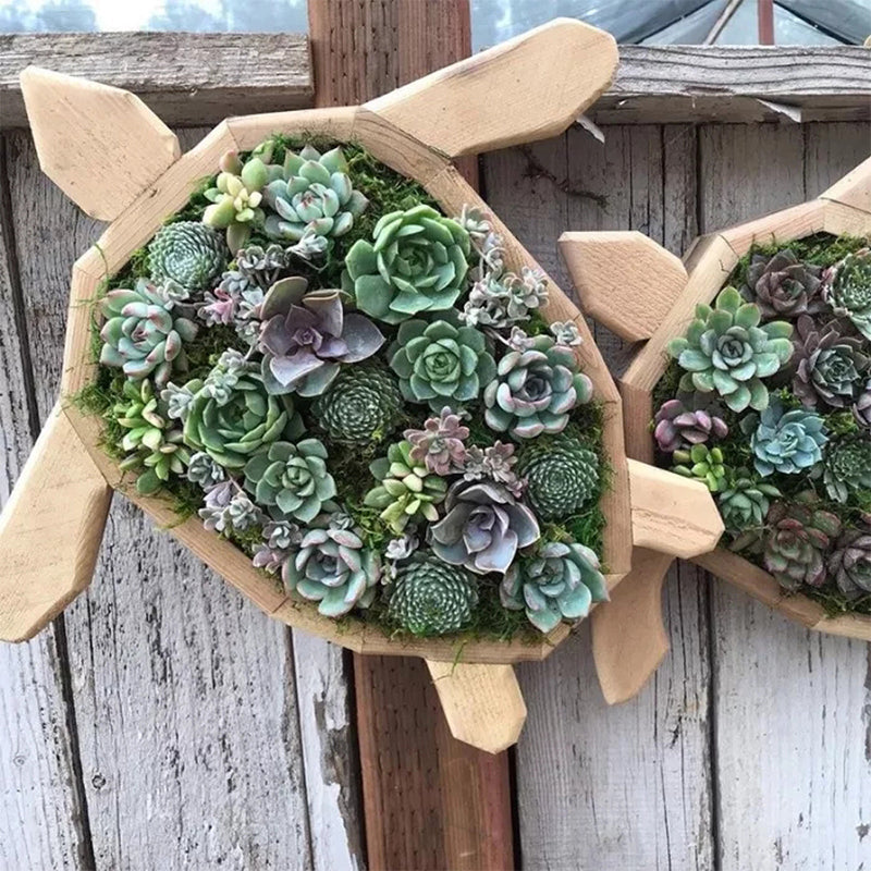 Animal Succulent Garden Arrangement