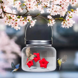 Beautiful Mason Jar Hummingbird Feeder with Three Ports